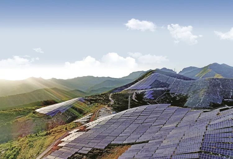 来源：被访者供图