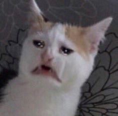 坐牢要选个有品质的监狱 每日轻松一刻3月4日晚间版