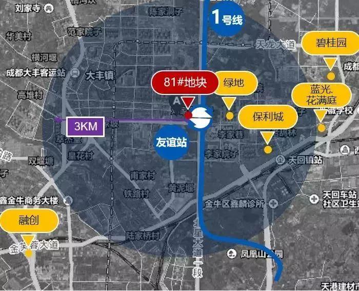 新都大丰入市81亩商业用地,会是一个双地铁交