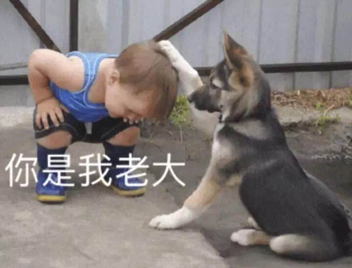 王思聪充钱都比不过他!一人追着200个土豪打,打到玩家不敢上线!