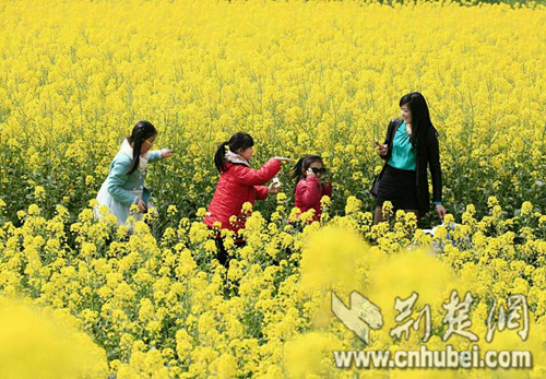 武穴市大力推进乡村振兴 规划将326个行政村合