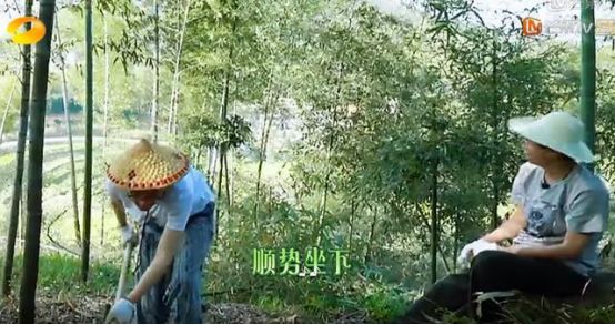 挖筍