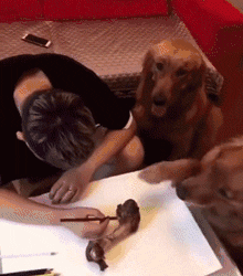 确认过眼神，是撞脸的人