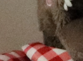 真相侠:数码相机的机内降噪和软件降噪如何选择?