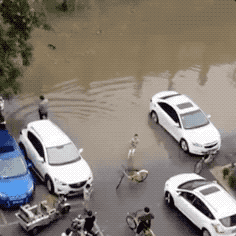 暴雨后9岁男孩暖爆朋友圈:孩子如此善良你没权利伤害他