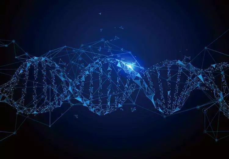 人类基因组图谱并不完整!据此进行的基因研究可能存在