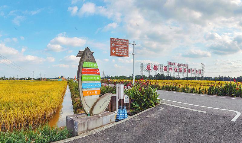 巴蜀乡村振兴 产业将这样谋兴旺