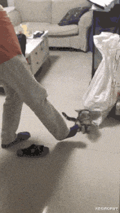 姑娘吃的啥体质这么好?动图 这种东西妹子也能用?