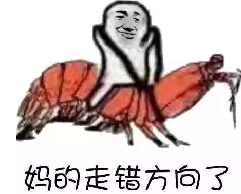 用一个骰子就决定冒险者的命运,现在的策划那么懒的吗?