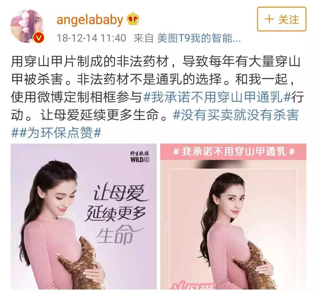 baby大出血,baby顺产哭肚子疼 angelababy拍公益短片被骂,背后是1亿动物在流血!|大