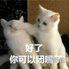 《不正经新闻》第63期:秃头的普及要从娃娃抓起!