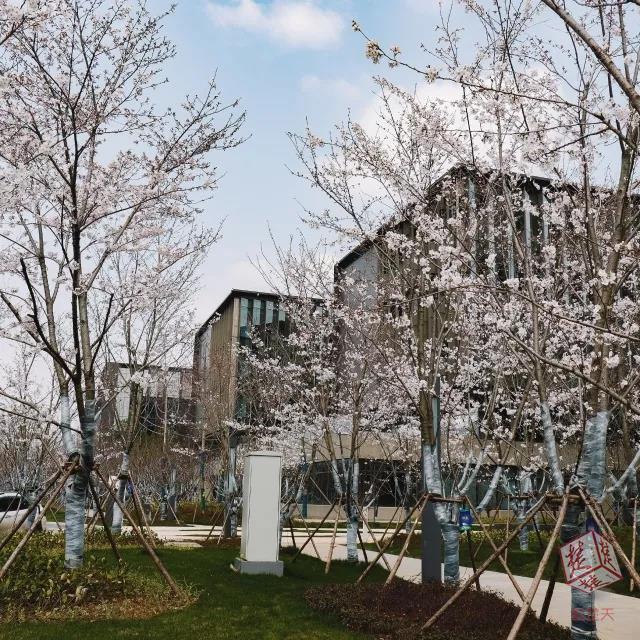 华为武汉研发基地本月投入使用,相关岗位用人