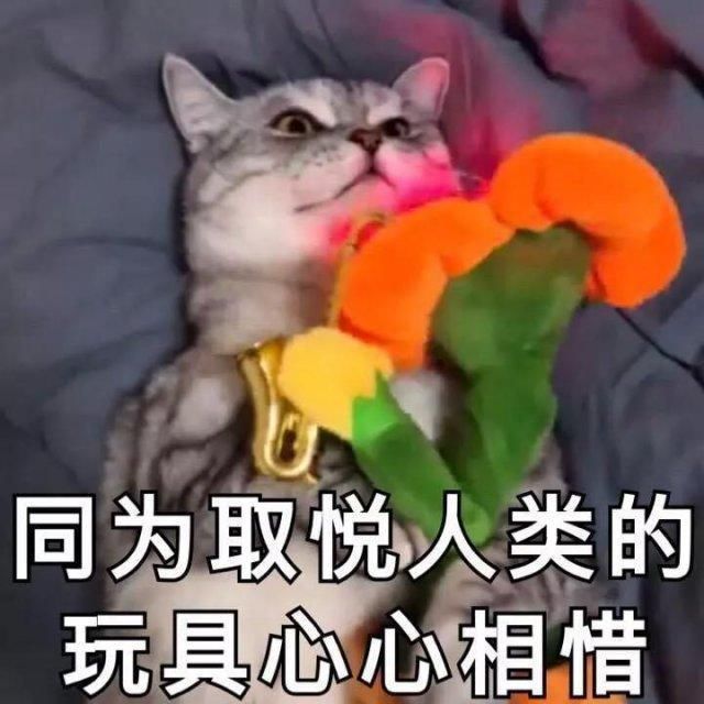 在抖音上买了一堆 9.9 包邮的网红款，比漂亮小姐姐跳舞有趣多了.......