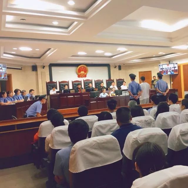 全市首例刑事附带民事环境公益诉讼案件在我院