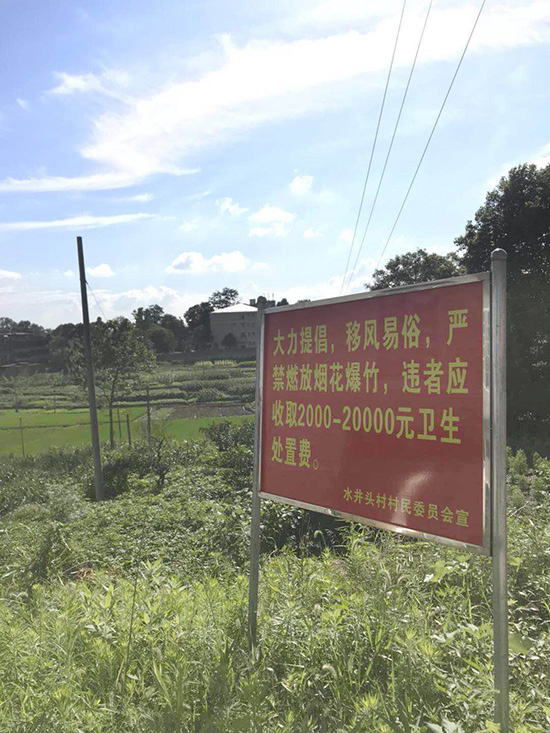  水井头村村口的“禁炮”告示。澎湃新闻记者 蒋格伟 摄