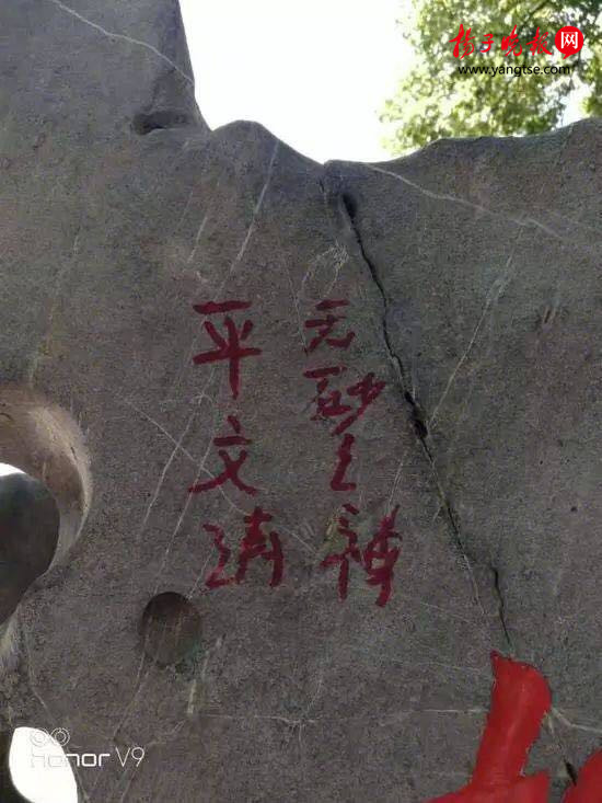 上涂鸦的平文涛被抓 目前以寻衅滋事罪名被拘留