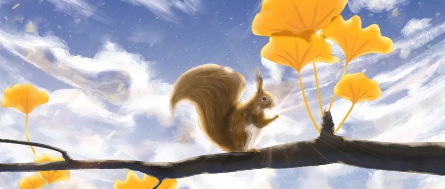 公募基金牌照要放开?