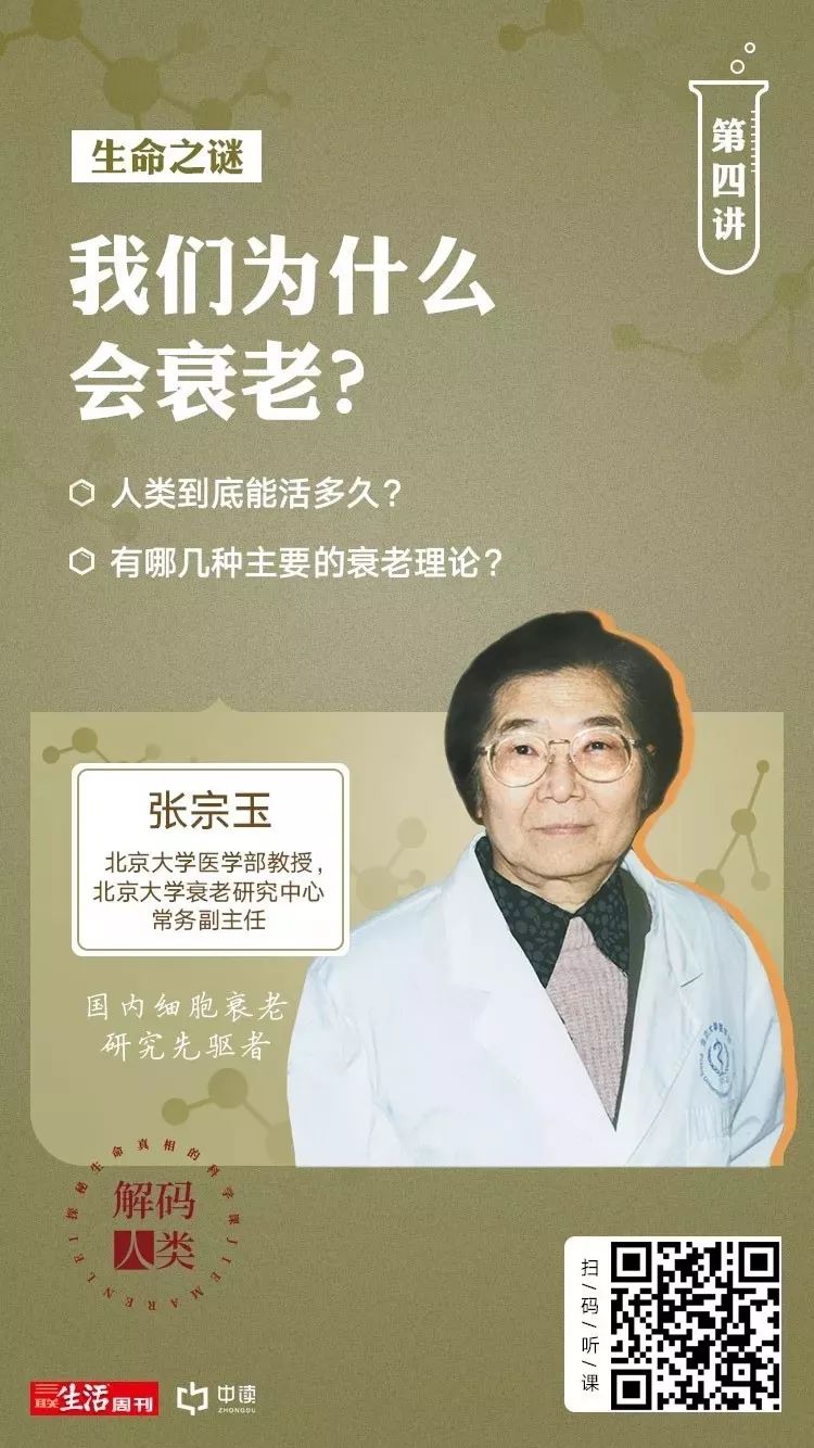 何琪杨:中国医学科学院,北京协和医学院教授,中国老年学和老年医学学