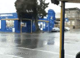 老铁，为什么要叫醒我？让我快活一下不好吗？