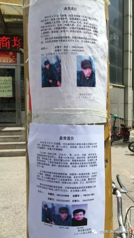 ▲张北随处可见的悬赏通告,从6月1日至4日,悬赏金额从5万增至20万元。