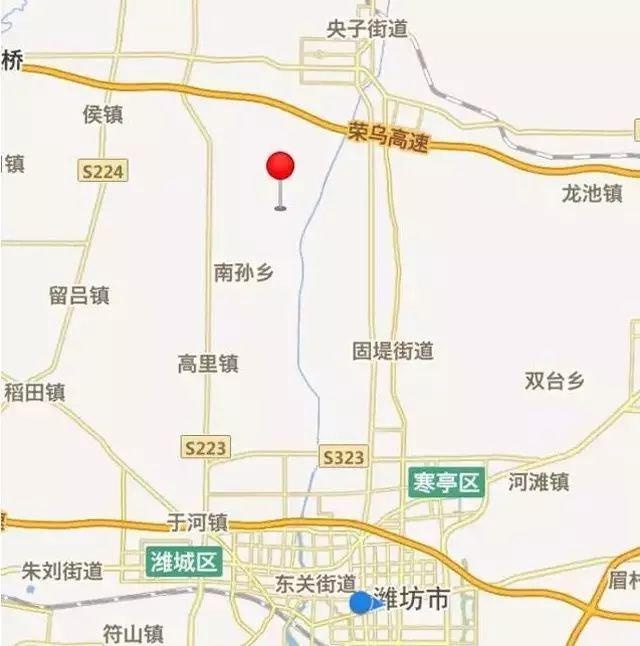 潍坊一路向北!邂逅大片向日葵