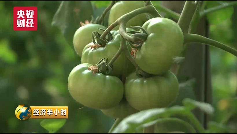 飘花影院7手机版国产片