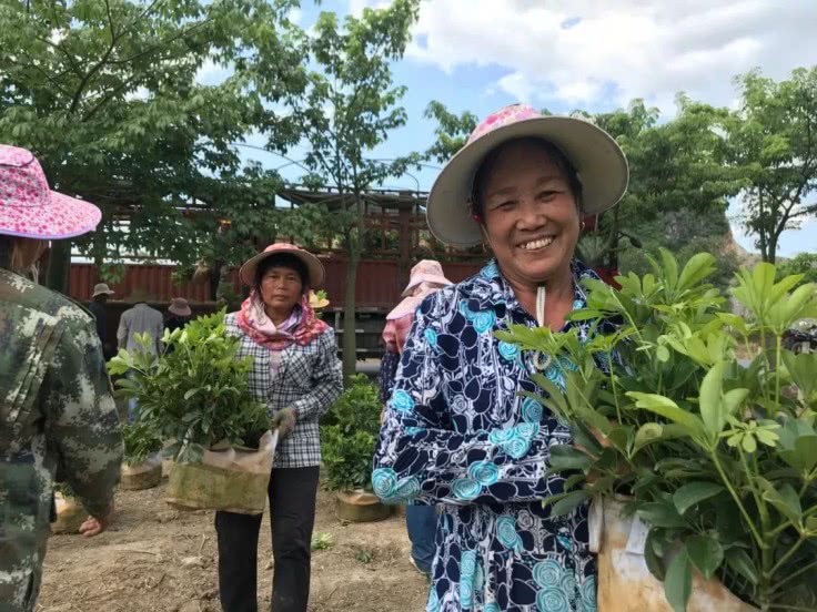 亚博老是提示我检查网络·科创板打新又来了!但明天这只新股,才是值得期待的大肉签