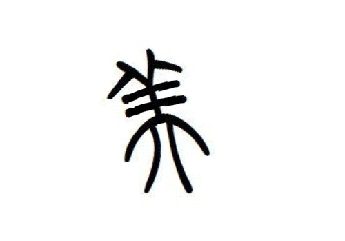 云顶娱乐官网下载1.8|义诊后,还留下“不走的医疗队”