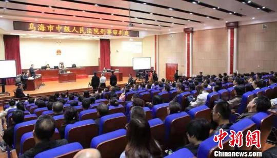 庭审现场 乌海市人民检察院 供图 张林虎 摄