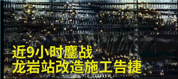 (via梨视频)