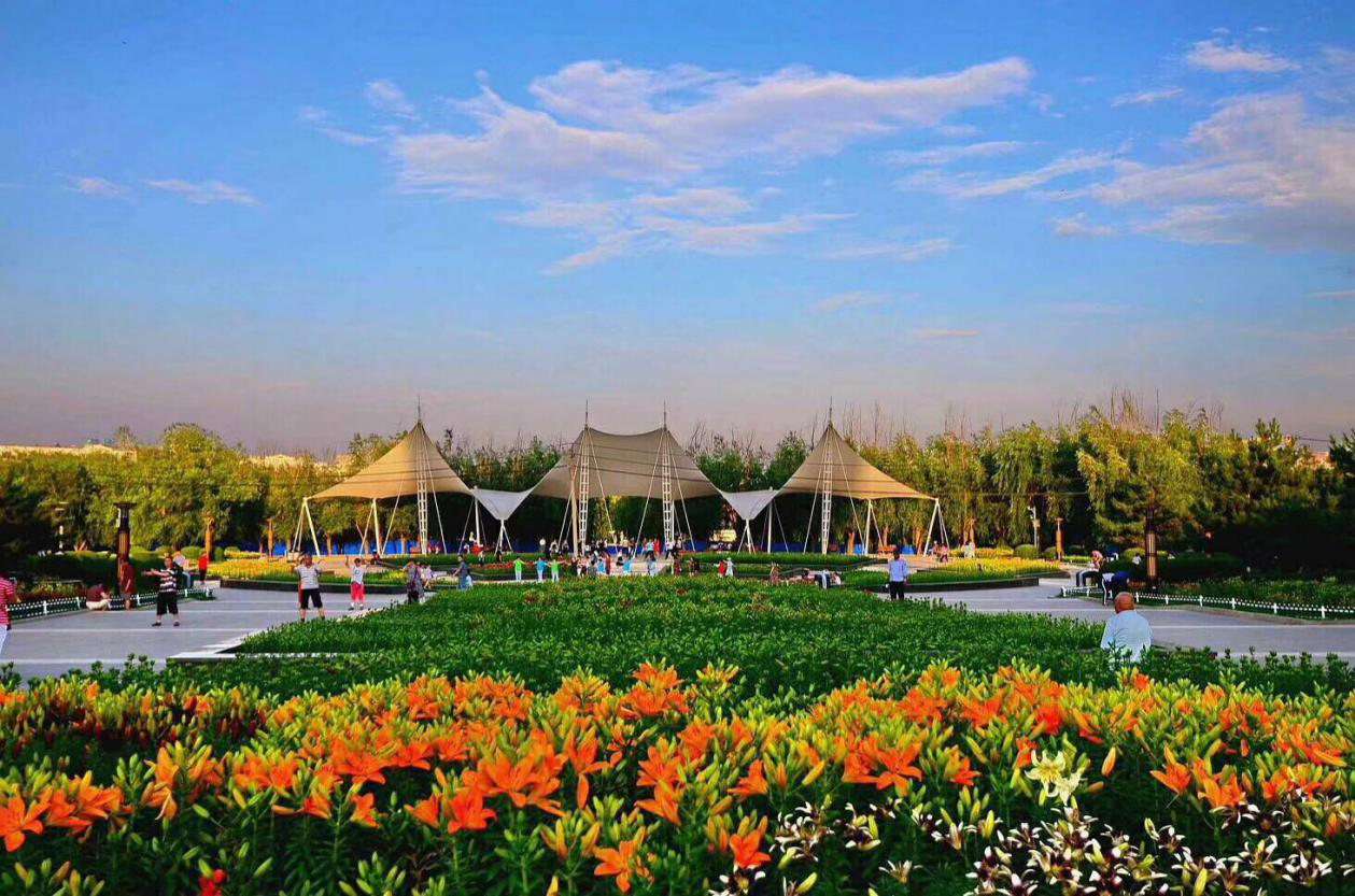 【园林局】长春公园六万株百合绚丽绽放