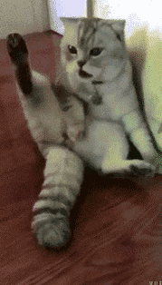 春天到了万物复苏的季节 每日轻松一刻3月24日周末版