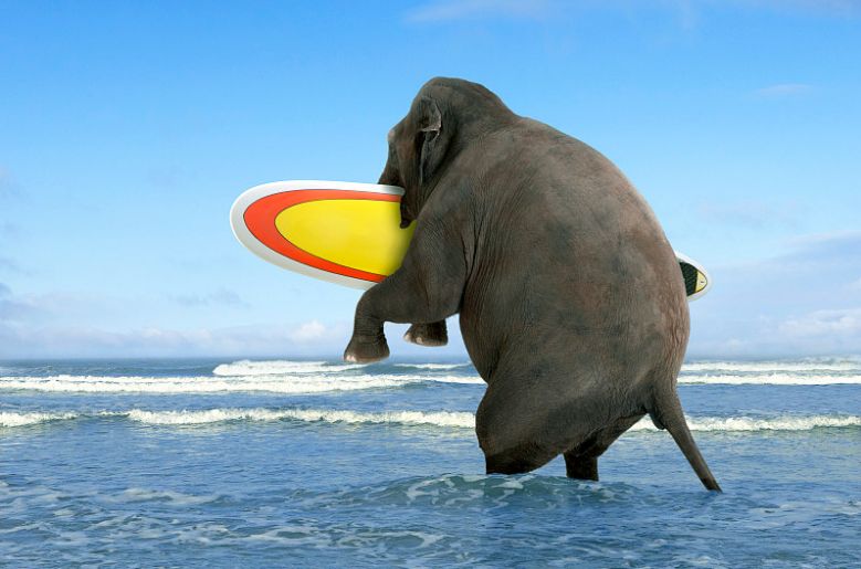 叶檀:万万没想到 中美贸易战最受益的是海南