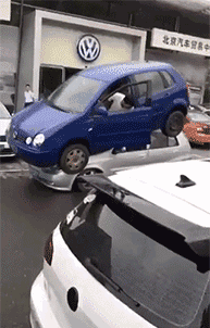 小姐姐，是谁给你的勇气来张开双臂的？