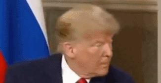 会晤开始前 特朗普被拍到向普京挤眼睛(图)