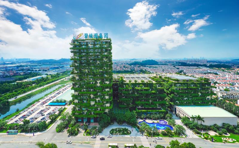 碧桂园再度上榜《财富》世界500强 排名上升1