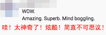 800架无人机夜空秀 网友直呼:真是令人惊叹的表演