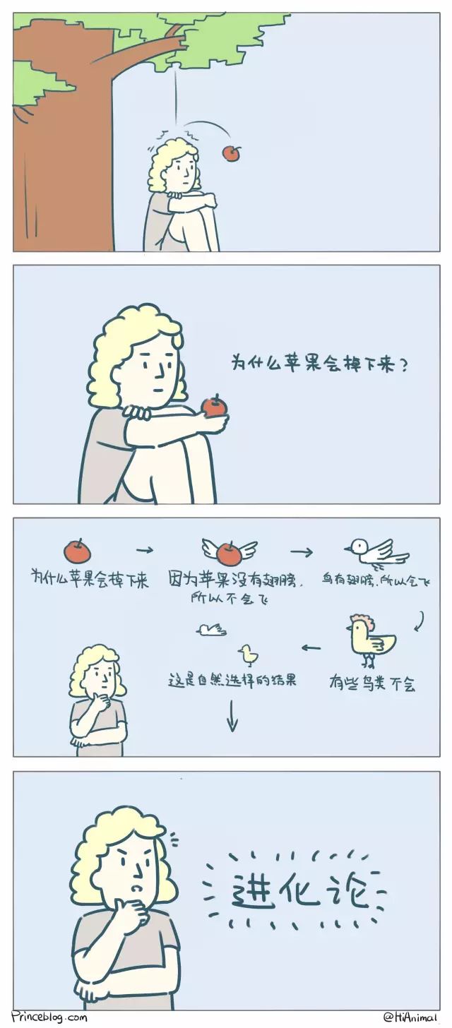 牛顿与苹果