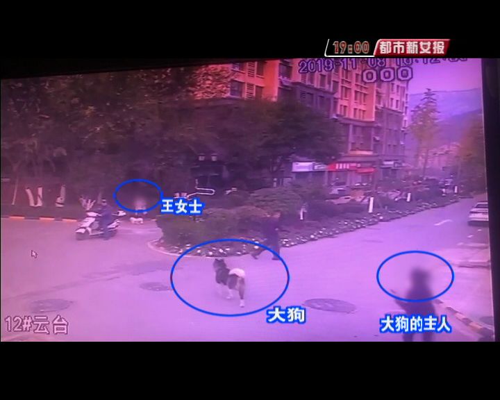 「安卓手机怎么下载万博」指南者CRV翼虎,主流SUV谁更懂中产阶级?