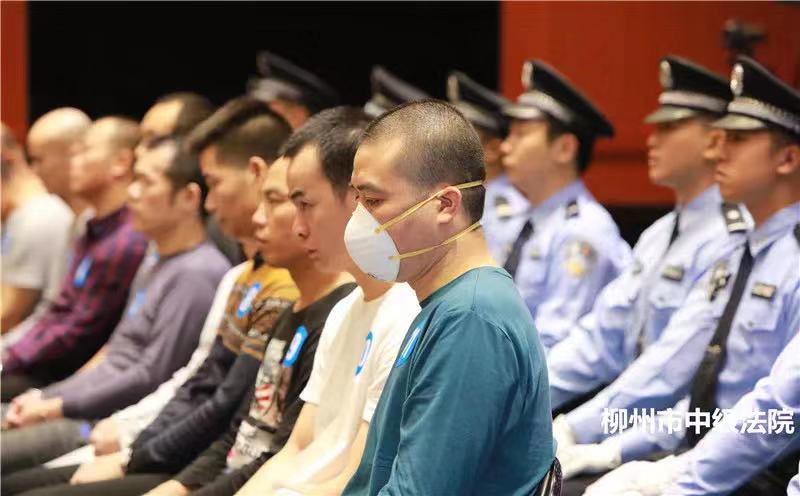 10月15日,犯罪嫌疑人张加爱、覃春团等11名被告人受审。图片来自柳州中院