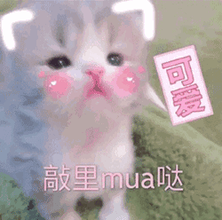 萌宠表情包|喵喵,别的小朋友都有零花钱,就我没有!