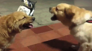 姑娘吃的啥体质这么好?动图 这种东西妹子也能用?