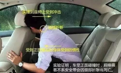 老百汇开户注册 湖北出台国有林场发展规划 聚焦六大建设任务 实施11项重大工程