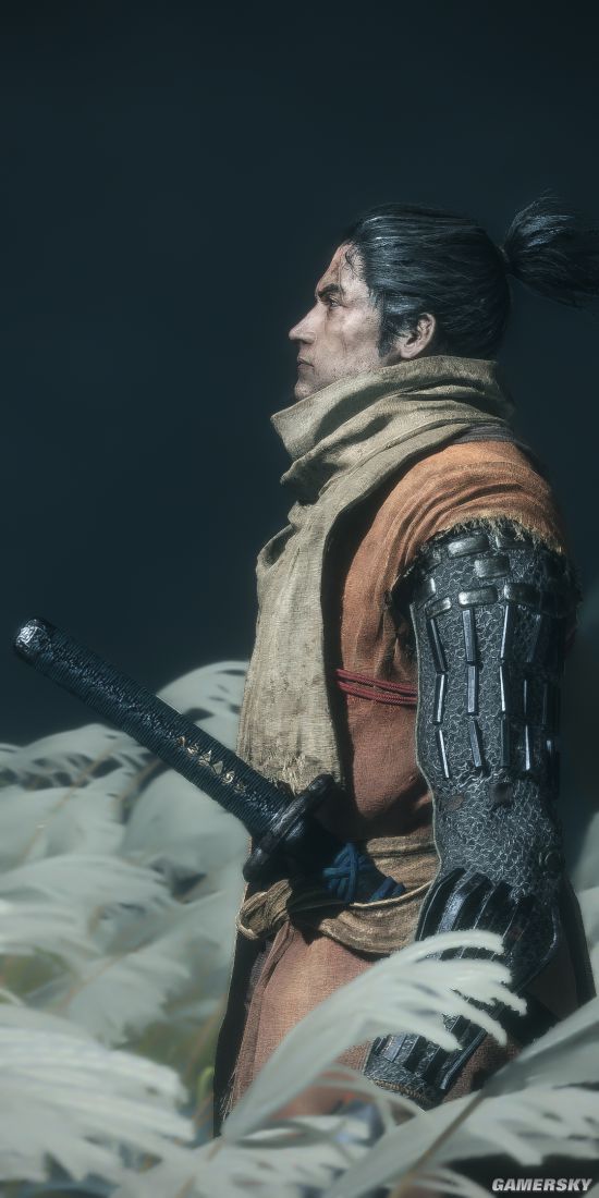 ֻǣӰŶȡֽҽͼ Կ羰ľȻ