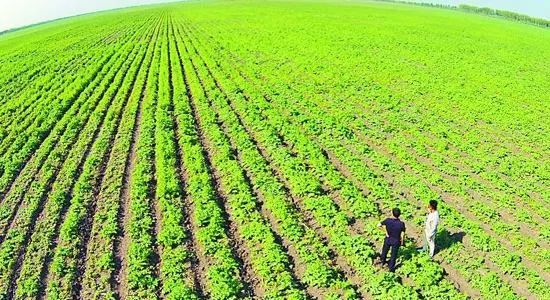 国家权威发布!关心云南农村发展的速看!2018年