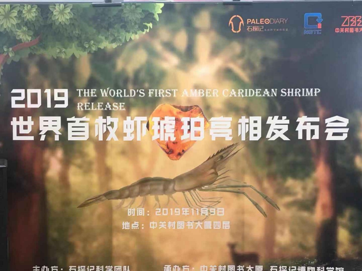 乐天堂赌博官网网址_烟台银行再遇麻烦:两任董事长被查 净利润下滑55.96%