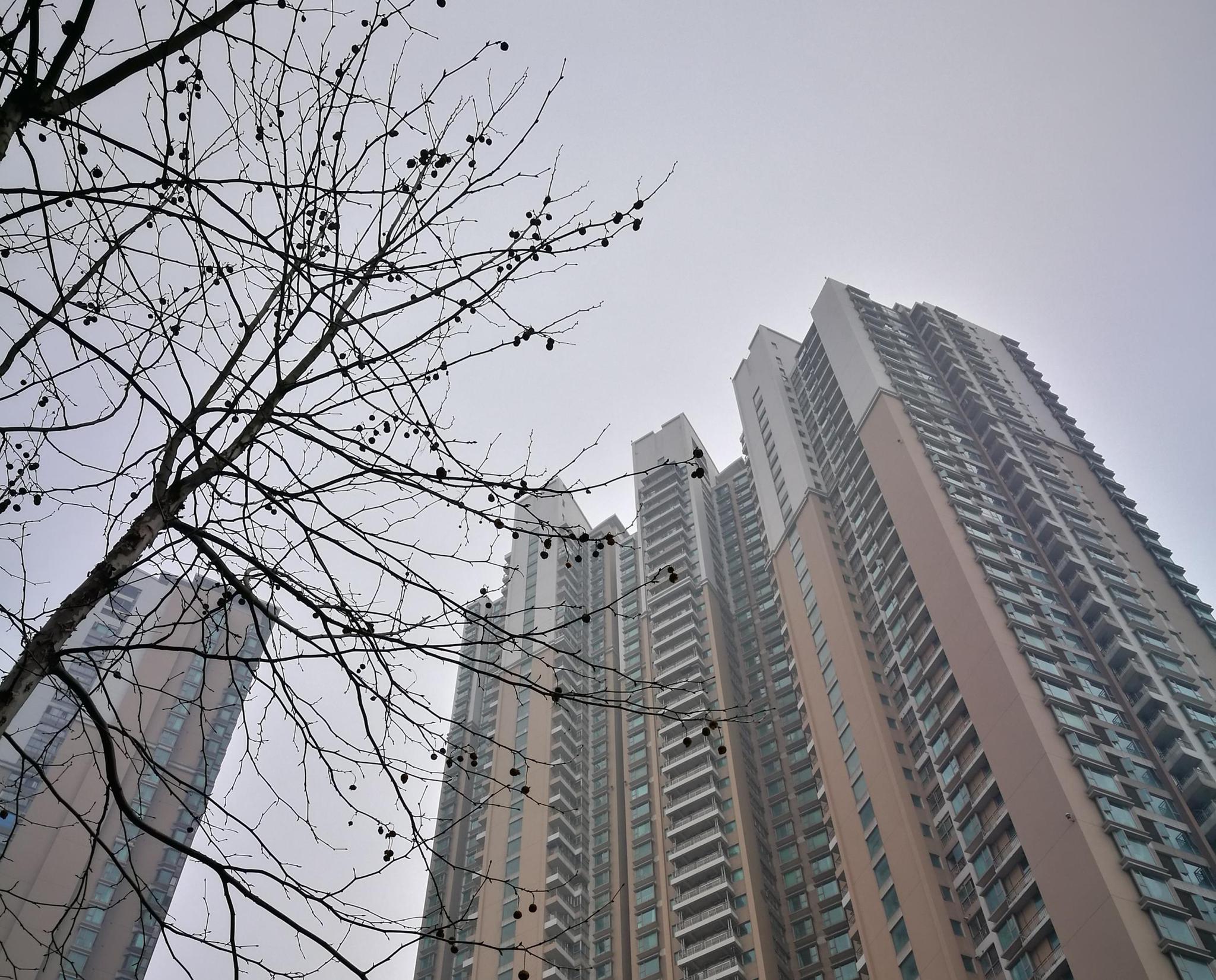 南京管理人口_南京地铁与人口分布图(2)