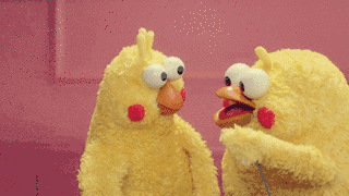 2018ȹ㶫ʮͨ¼ڵͶƱ