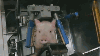 老师为鼓励学生与其打游戏,却被家长打小报告!还被学校开除了?