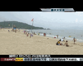 广东惠州海滩两天内60余游客被鱼刺伤 严重可致死